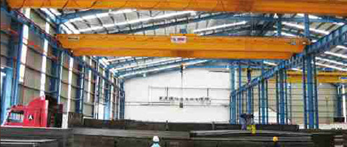 hoist crane